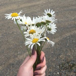 Meet your Posher, Isabella